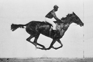 Muybridge sequence of a horse galloping (Source).