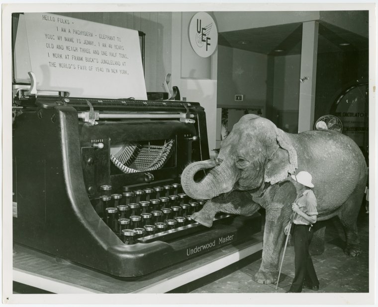 Frank Buck's elephant and giant typewriter. Photo Credit: New York Public Library