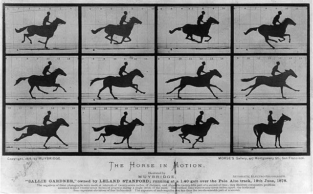 Muybridge's The Horse in Motion, 1878. Photo Credit: Library of Congress