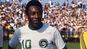 From Pelé to Haaland A Timeline of Football Passion and Prediction